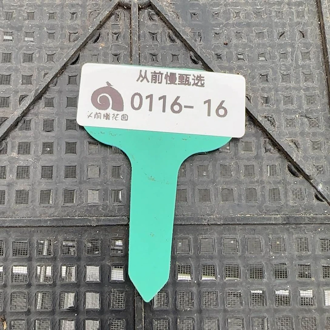 从前慢花园精选0116-16