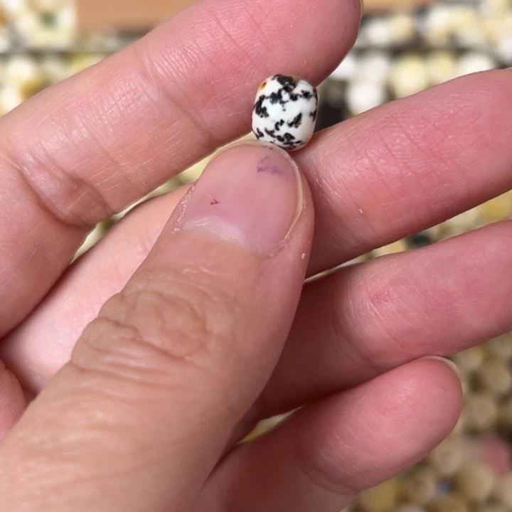 蜜蜡未镶嵌裸石8.1mm一个