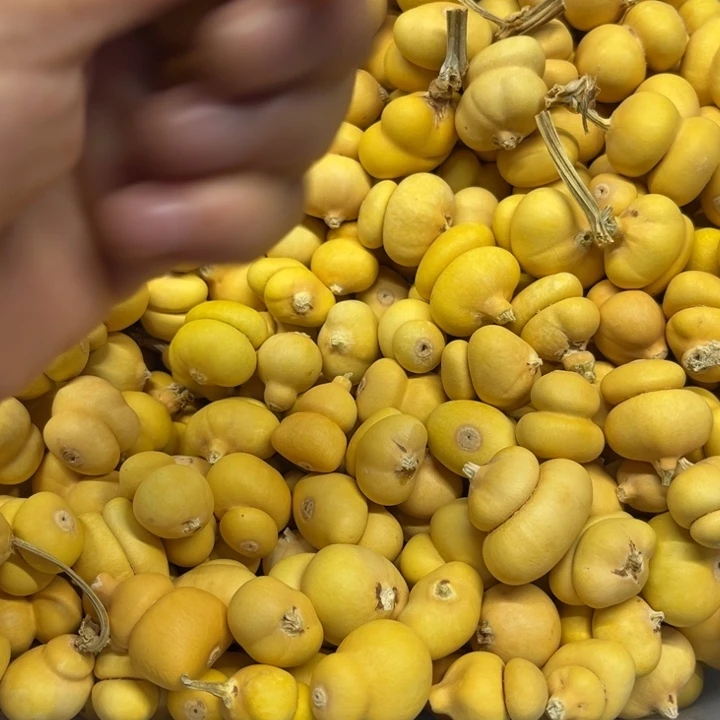 吾*葫芦888葫芦葫芦