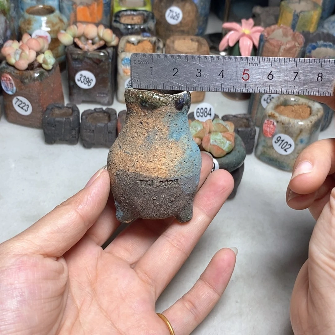 拍3送一个小礼物