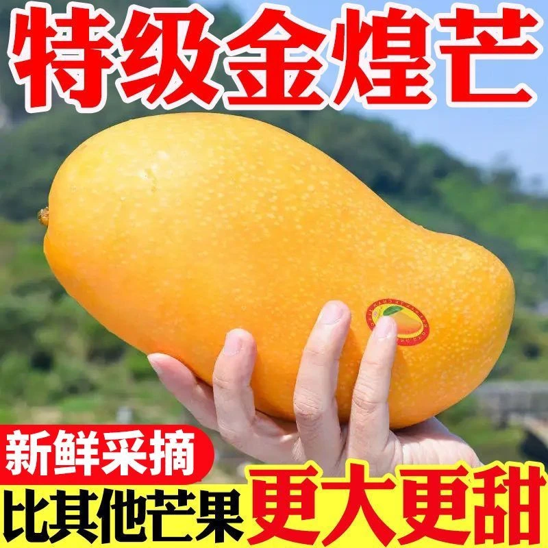 正宗海南金煌芒大青芒果进口新鲜水果核薄无丝大芒果整箱10斤新品
