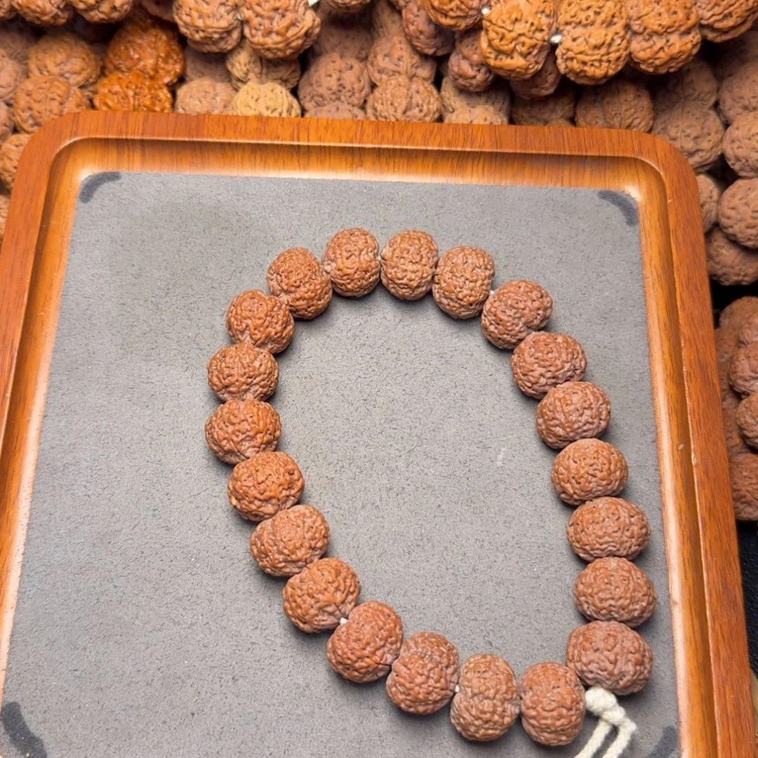 17号尼泊尔大金刚18五星蜂王菠萝蜜手持