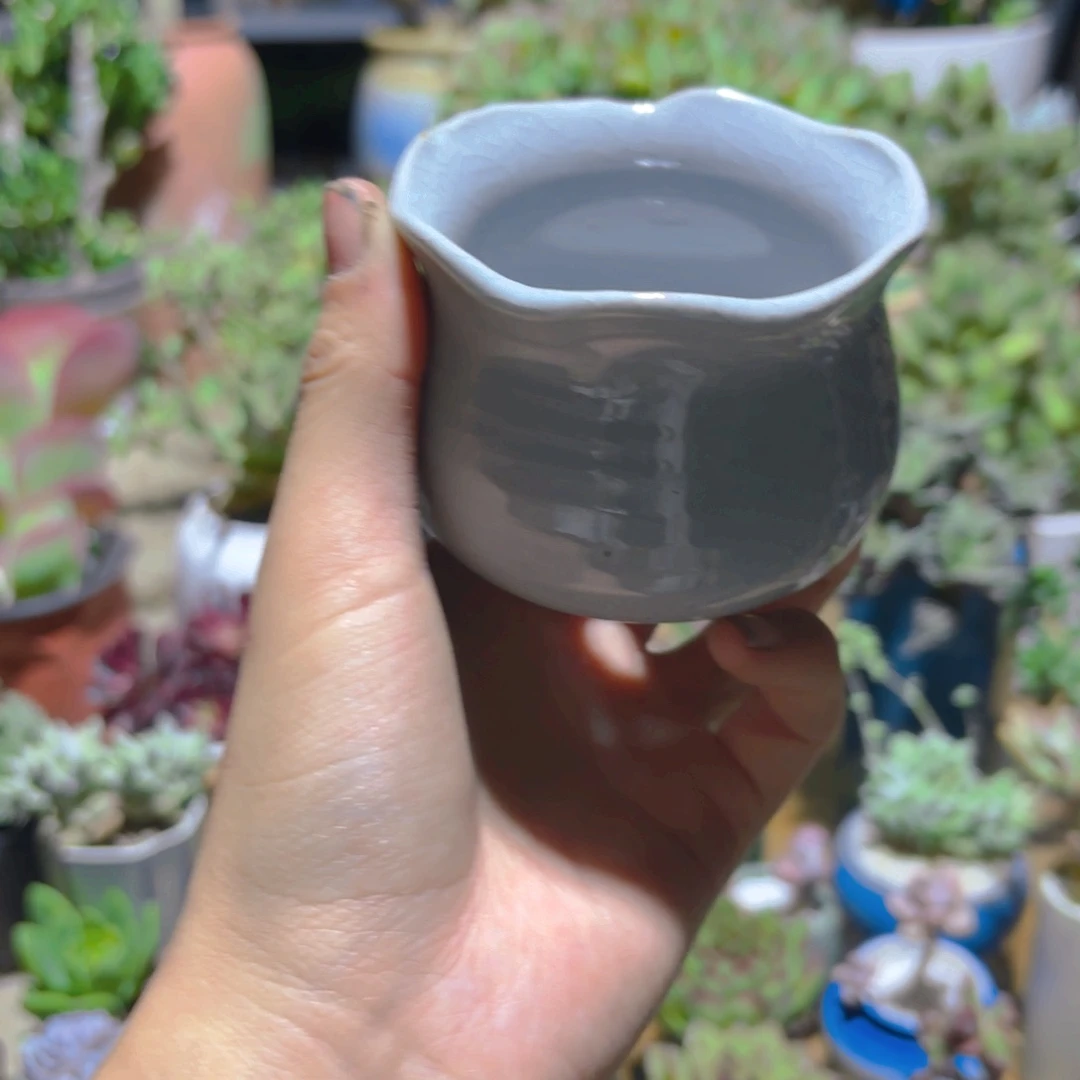 南***乔花边盆新疆包邮新疆包邮