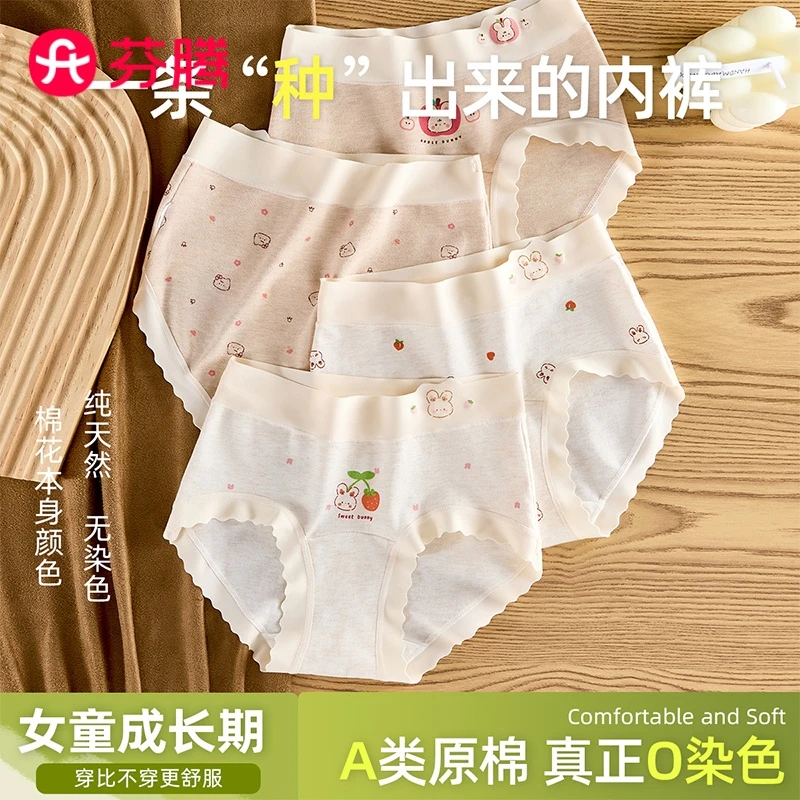 芬腾女童内裤A类婴儿棉10A抗菌透气裆三角裤女童成长期小女孩短裤