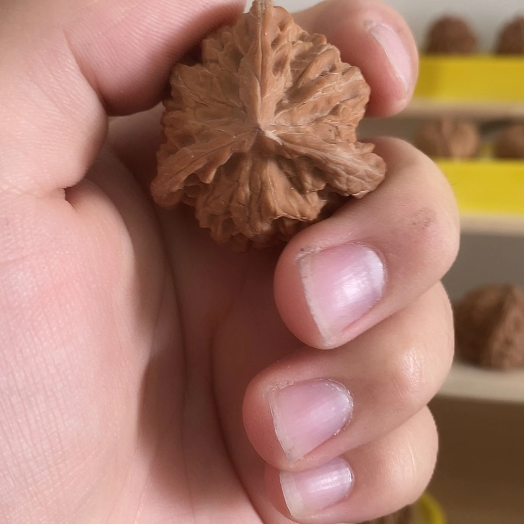 善***慧核桃善慧盘山三棱微瑕