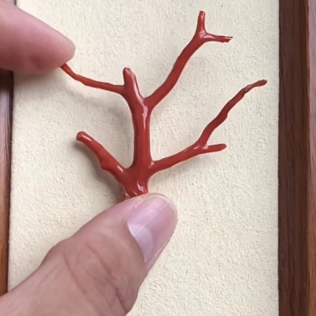 沙丁摆件一个特漏