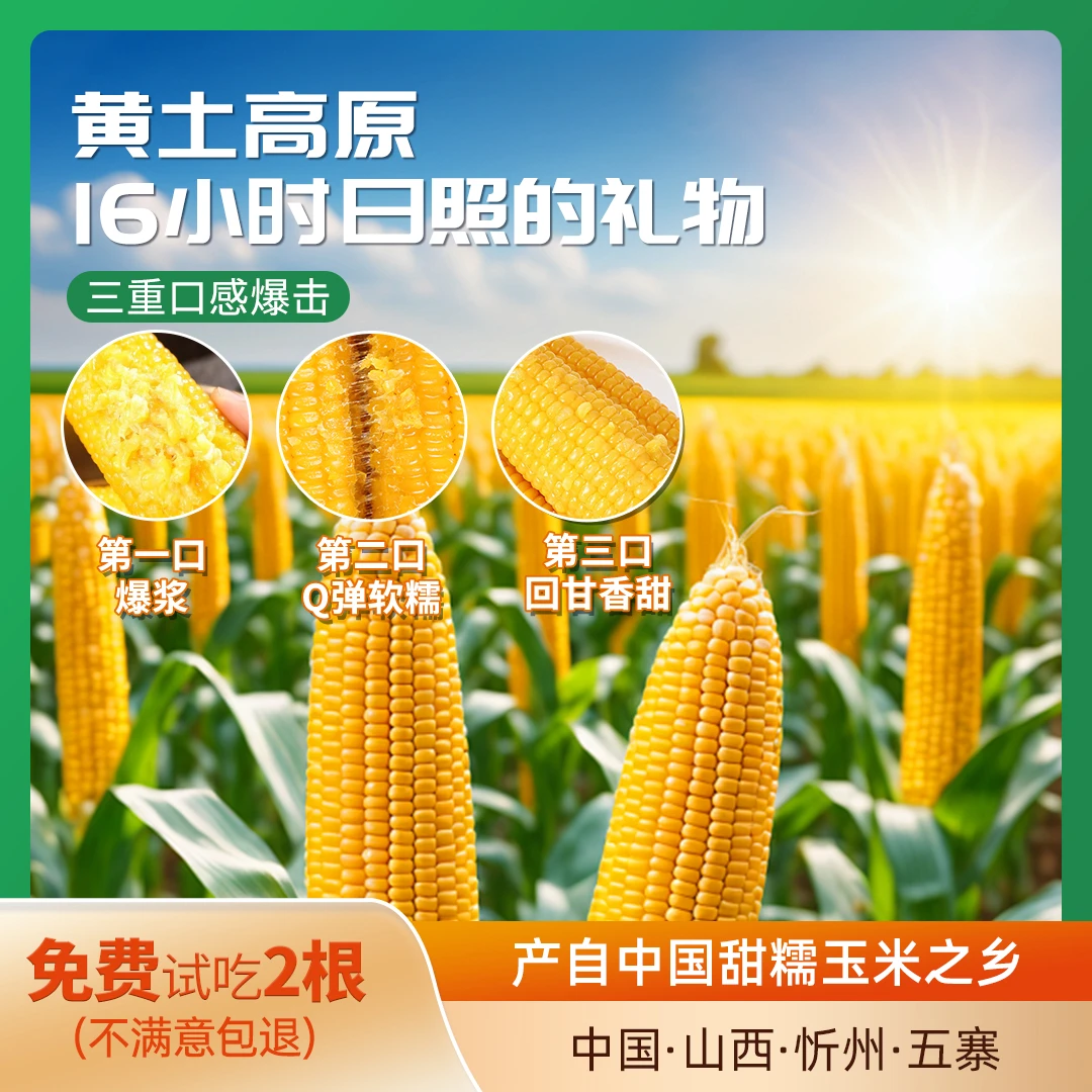 正道良田3:7黄金比例甜糯玉米25年头茬玉米有机粗粮8+2到手10根装