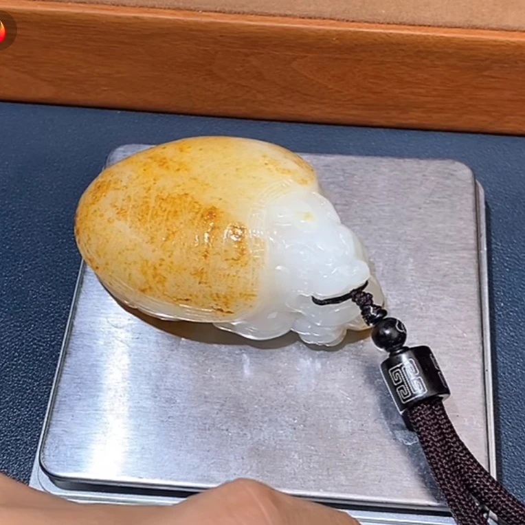 龙龟8.23A7多样性拍一发一