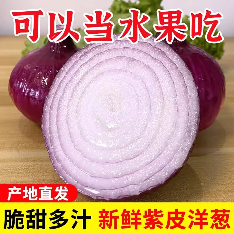 新鲜现挖现发可生吃的甘肃紫皮水果洋葱时令蔬菜农家种植坏损包赔