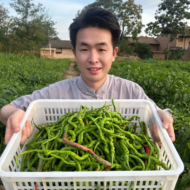 馒头哥自家薄皮红绿辣子香辣现摘现发新鲜蔬菜