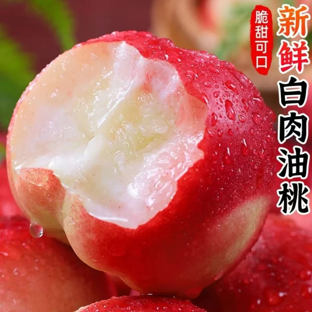 {精品油桃礼盒}大连大油桃油桃16脆甜多汁应季水果现摘