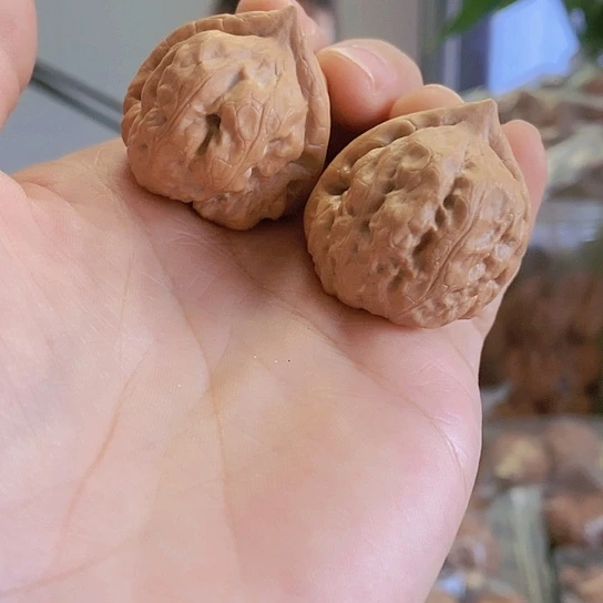 【闪购商品】把件文玩核桃35三角古蝉小众