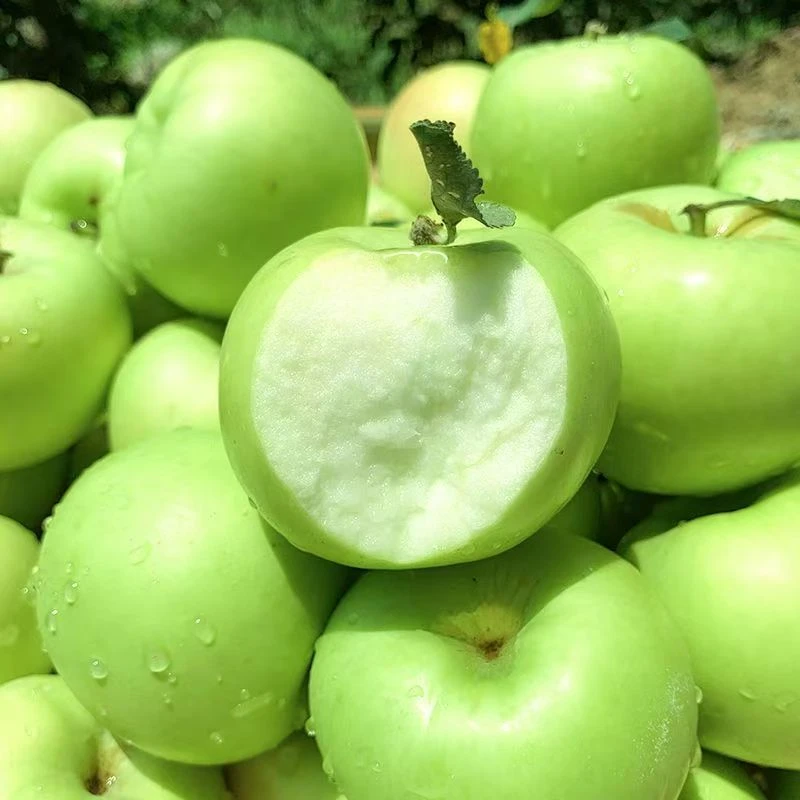 2025年头茬青苹果新鲜时令水果酸脆清甜可口孕妇解馋产地现摘现发