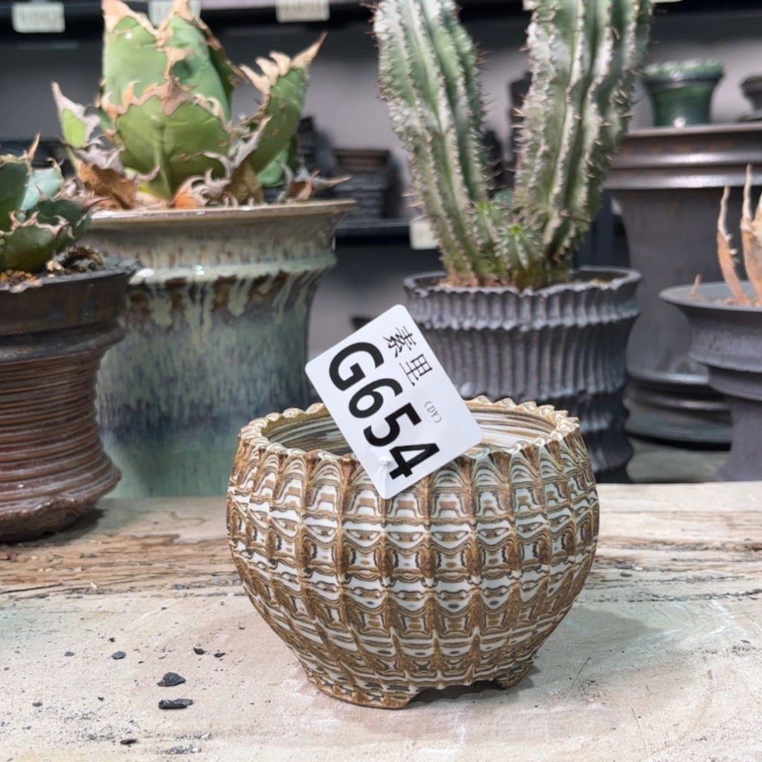 陶内口8.5高7景德镇