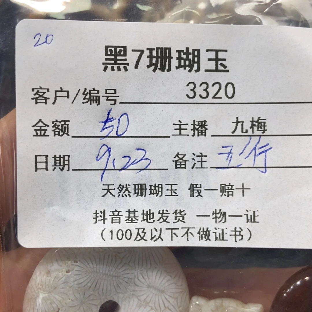 五***行未镶嵌吊坠硅化玉