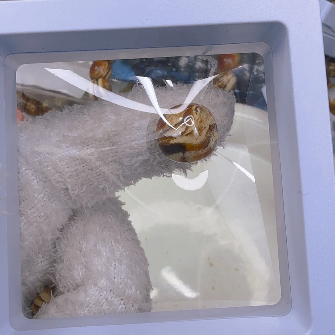 玛瑙/玉髓未镶嵌。60干白花1.2一颗