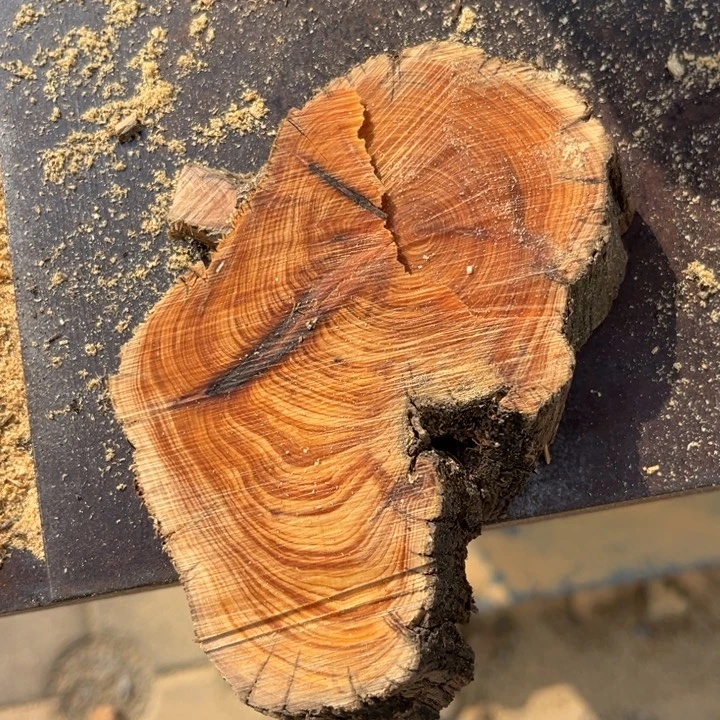 柏木南太行崖柏切片瑕疵