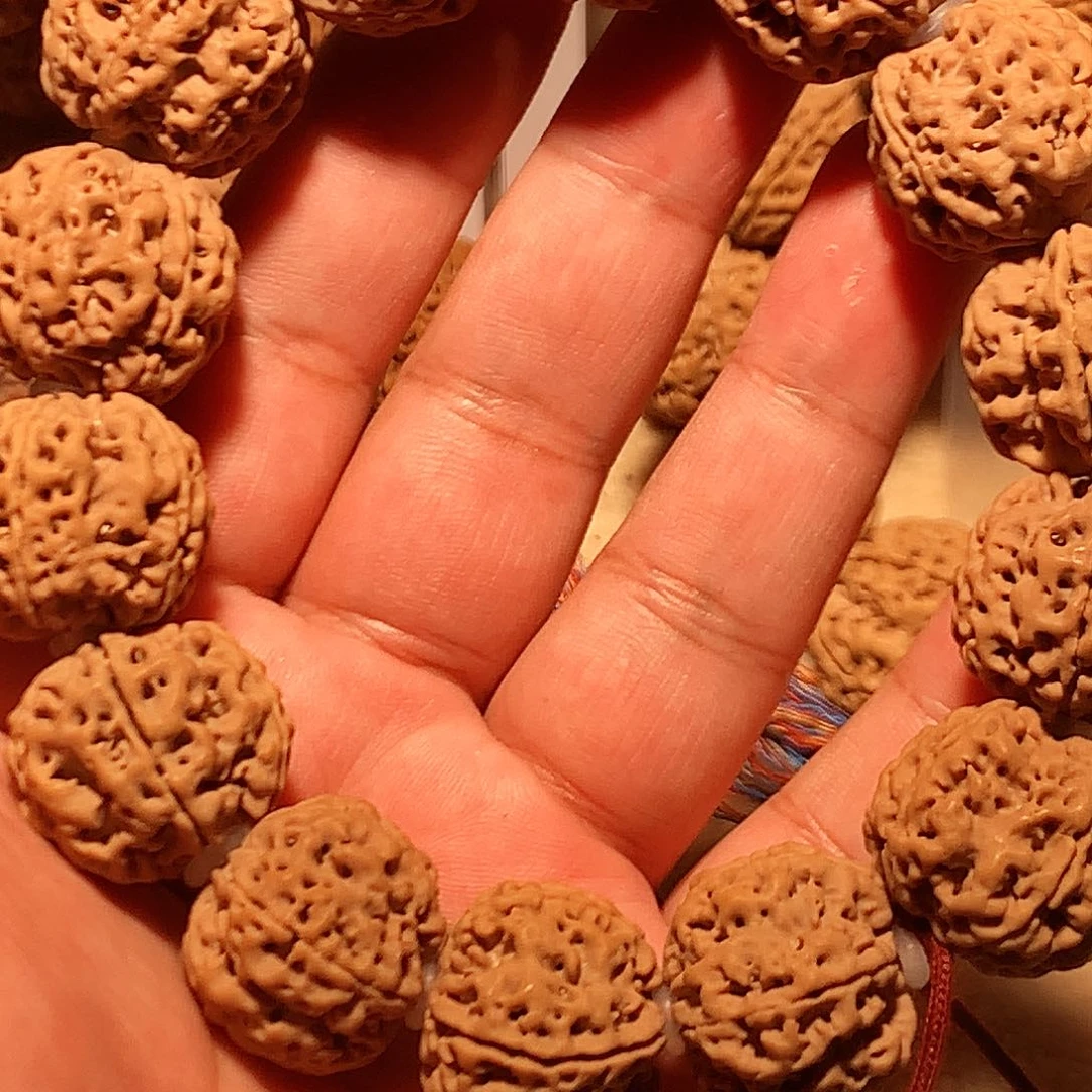 金刚菩提吊坠H****✨