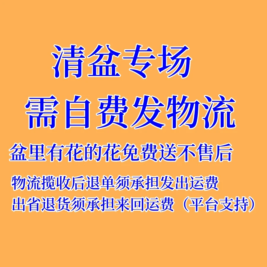 盆1号链接精美多肉植物花盆（自费物流运输）花无售后