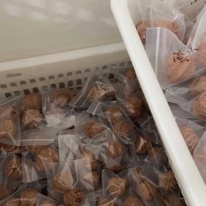 吊坠文玩核桃白狮子、虎头瑕疵对