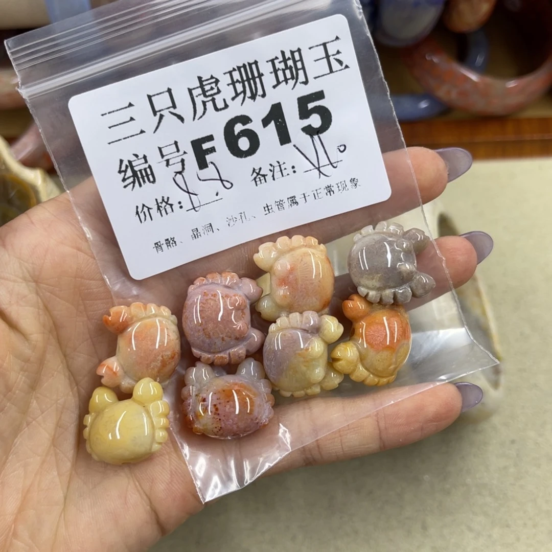 八***猫未镶嵌h硅化珊瑚（珊瑚玉）