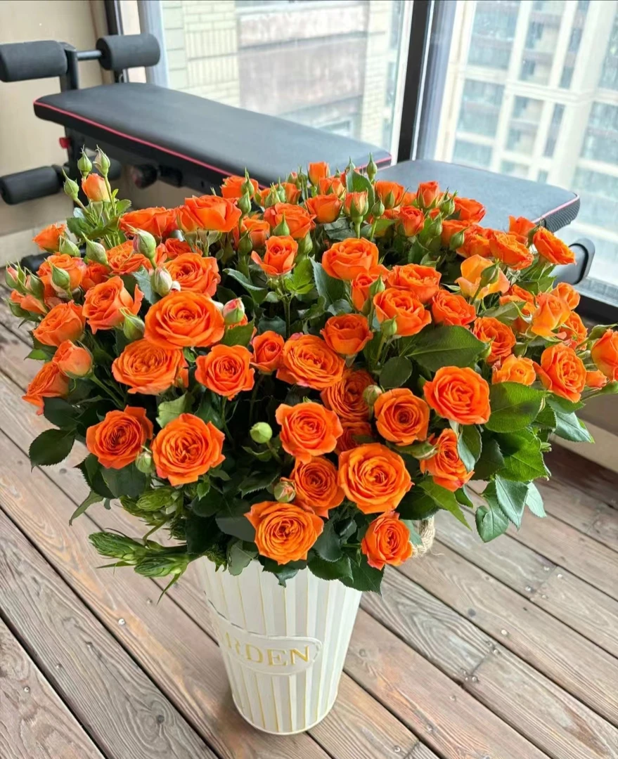 【橙色芭比多头玫瑰】--云南基地鲜花--收到货第一时间先醒花