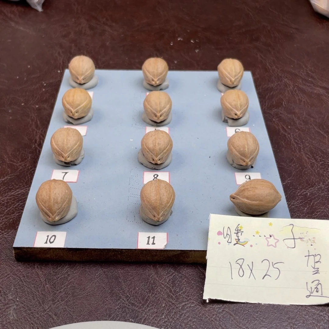 手串/手链橄榄核睡****子18.25梅林铁核