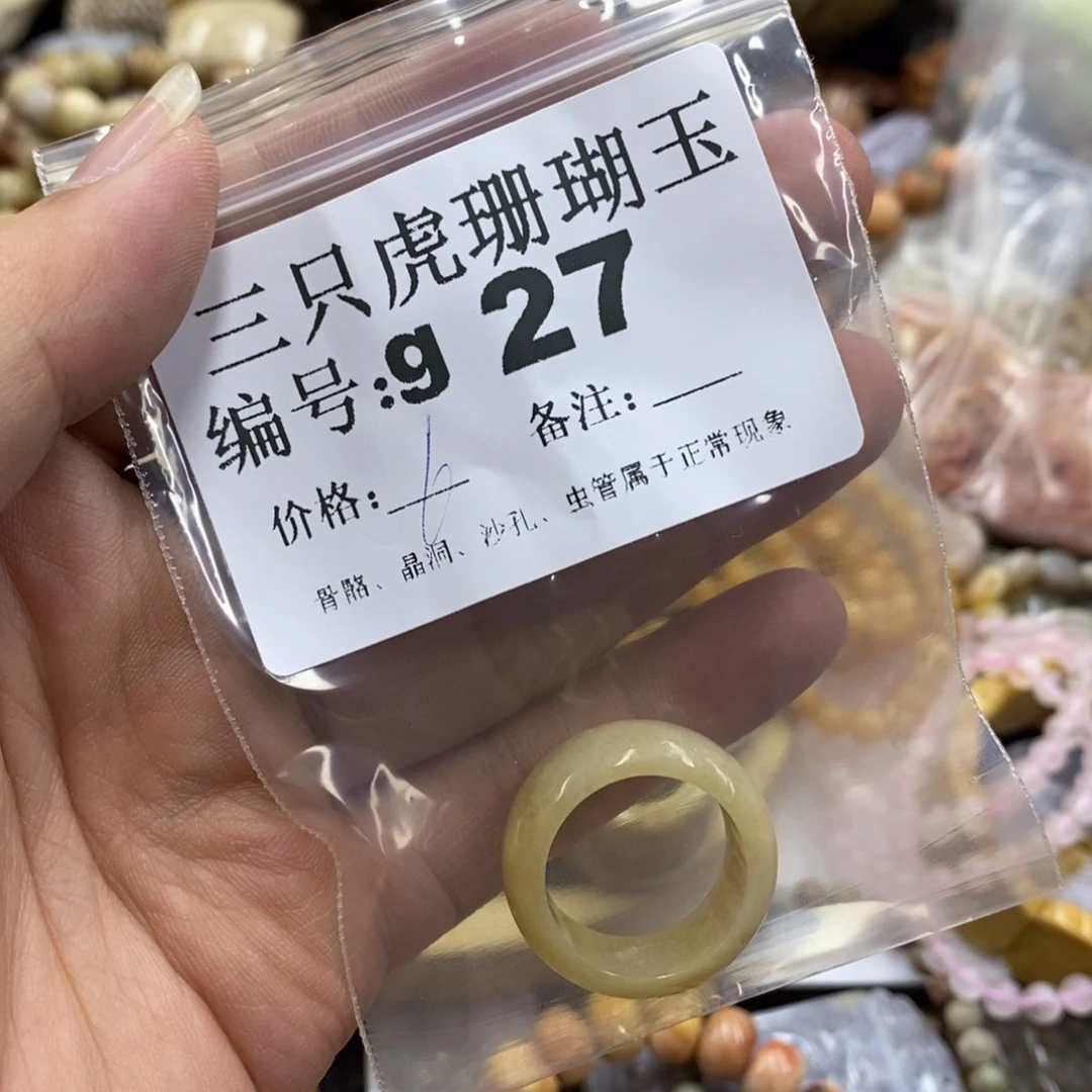 硅化珊瑚（珊瑚玉）未镶嵌X藍**懒