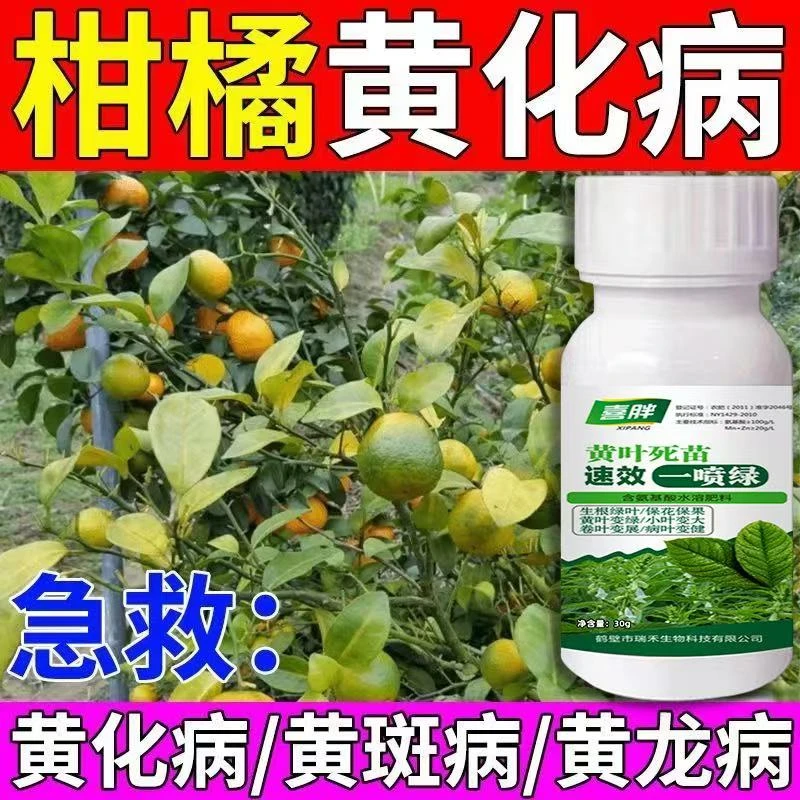 急救黄化黄化专用黄叶农用生物黄斑黄龙病果树丝瓜通用菌立清花生