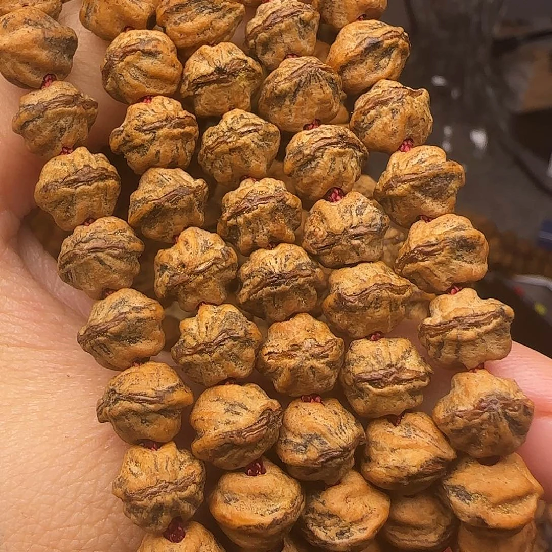 柏香籽/百香籽手串毒液