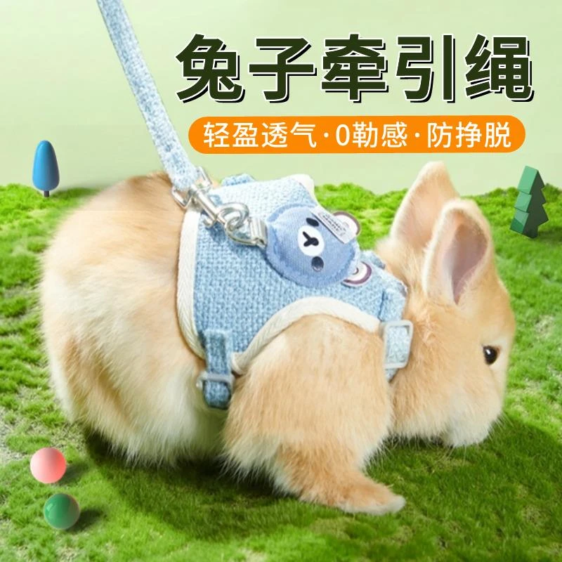 宠物牵引绳 天使翅膀遛兔绳 兔子牵引带可伸缩调节长度 胸背带
