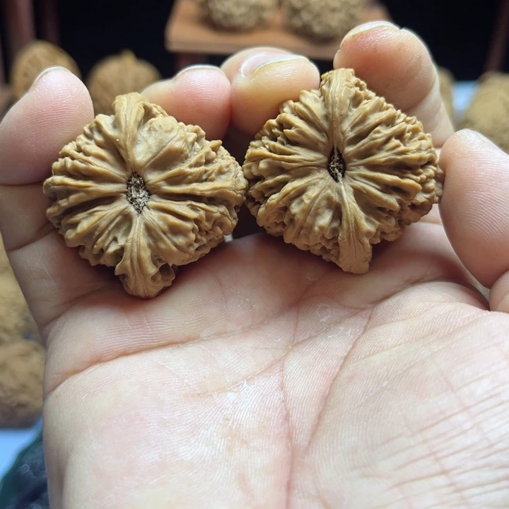 完全开放_*南疆石