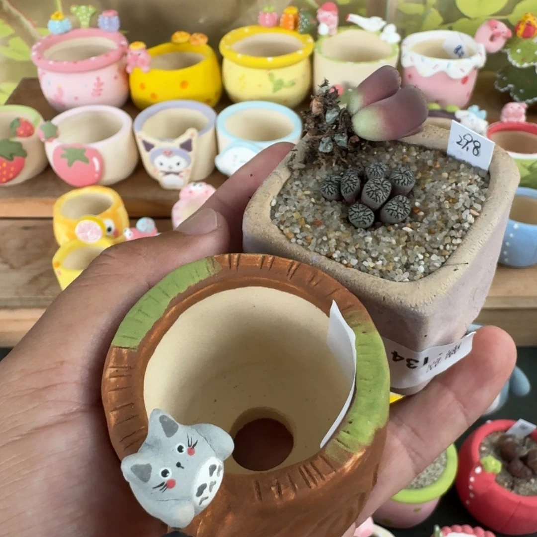 格***调蘑菇1178花花花花花花