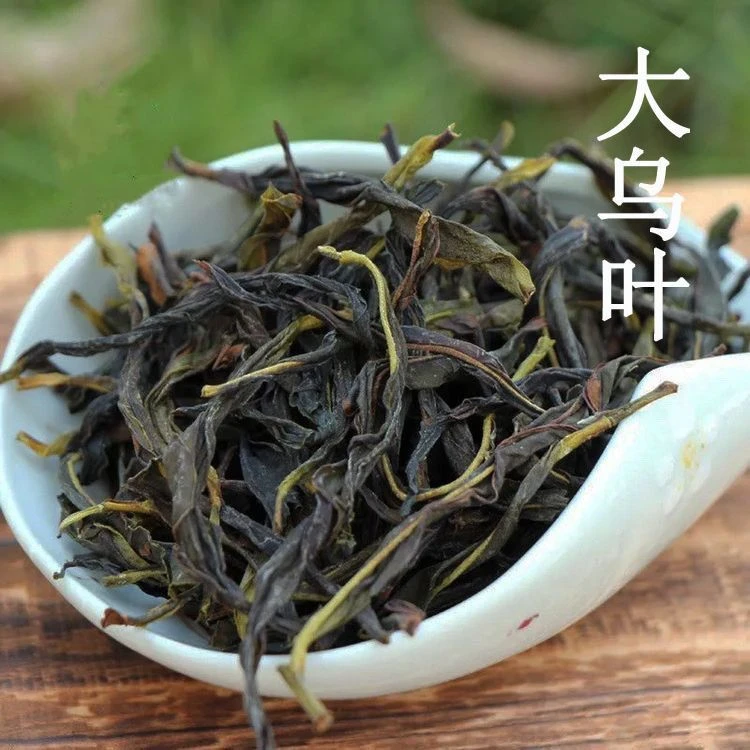 凤凰大乌叶单枞茶花香甘鲜清香型茶叶