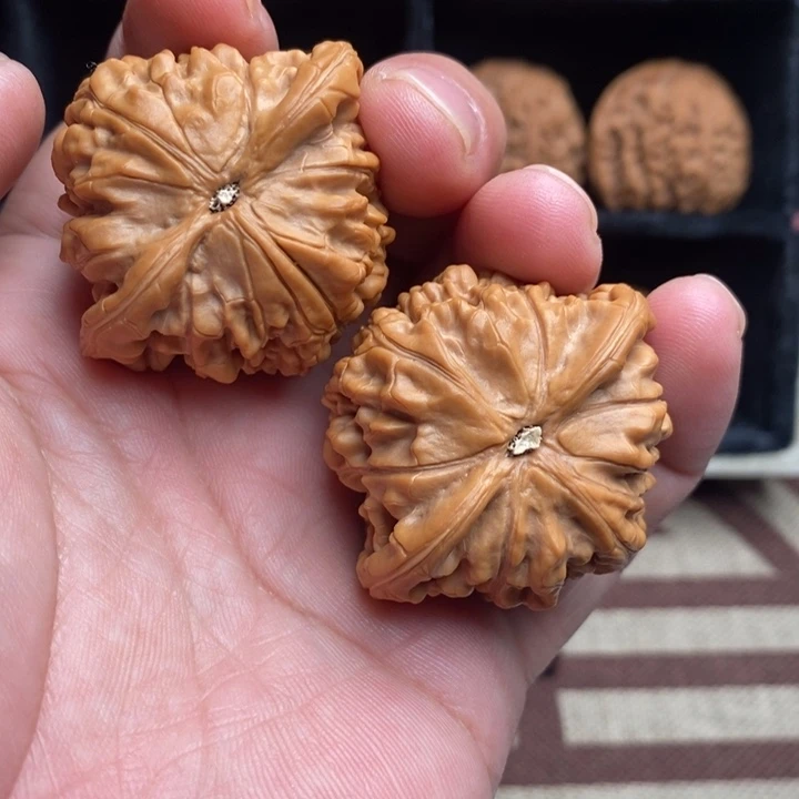 全品小众望月45尺寸