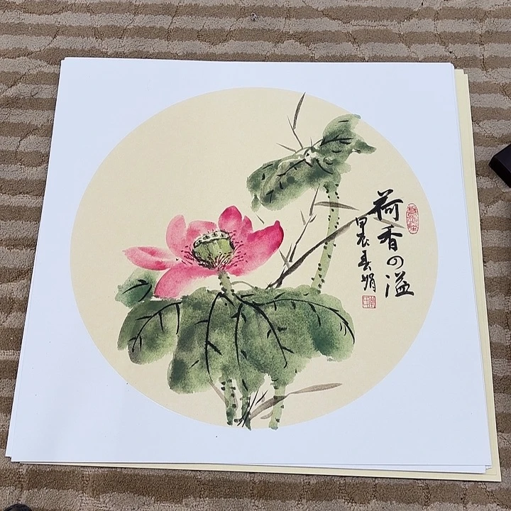 国画花鸟的翅膀和50.50