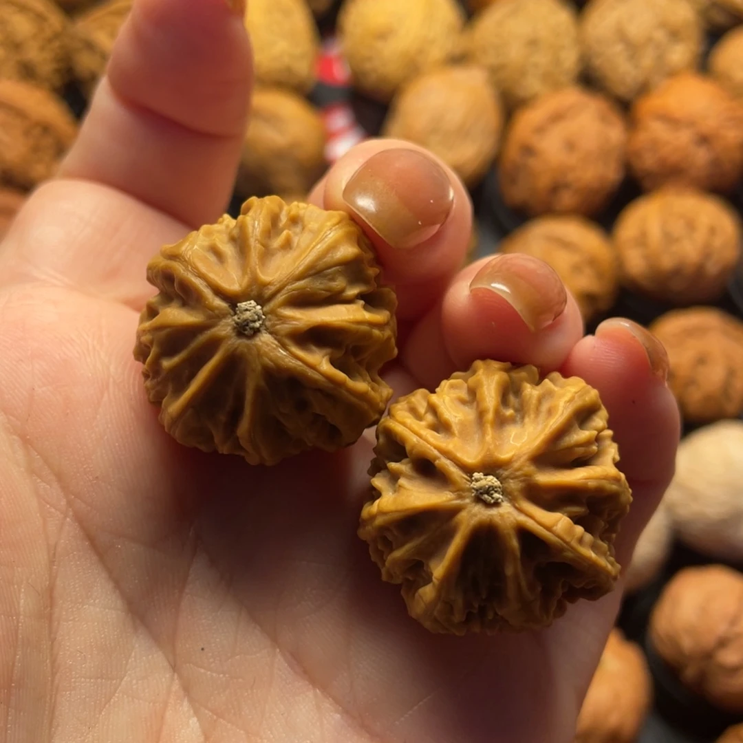 刘***尧文玩核桃把件核桃