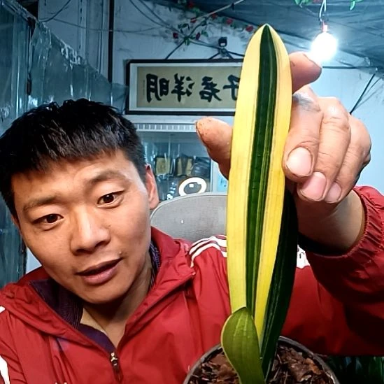 49一颗10月姐姐的！！！！！！