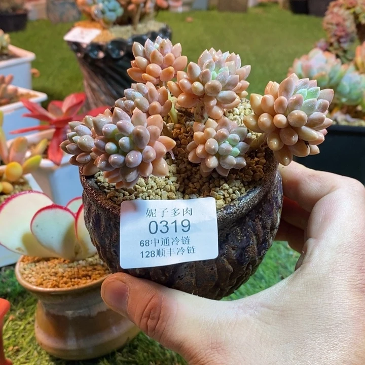 0319啊啊啊啊啊啊啊啊啊啊