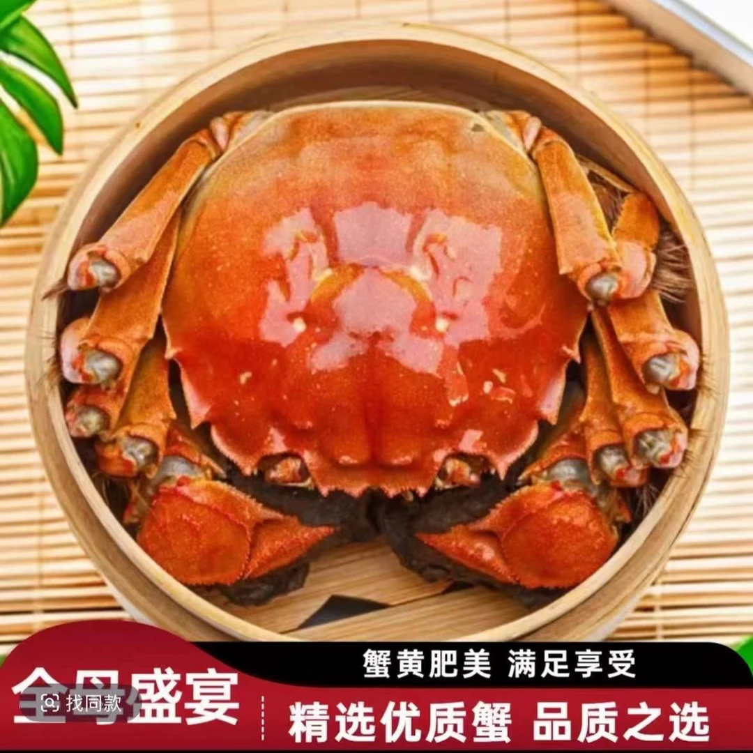 【活蟹】江苏精品湖蟹母蟹1.9-2.2两8只送2只今天拍明天到海鲜