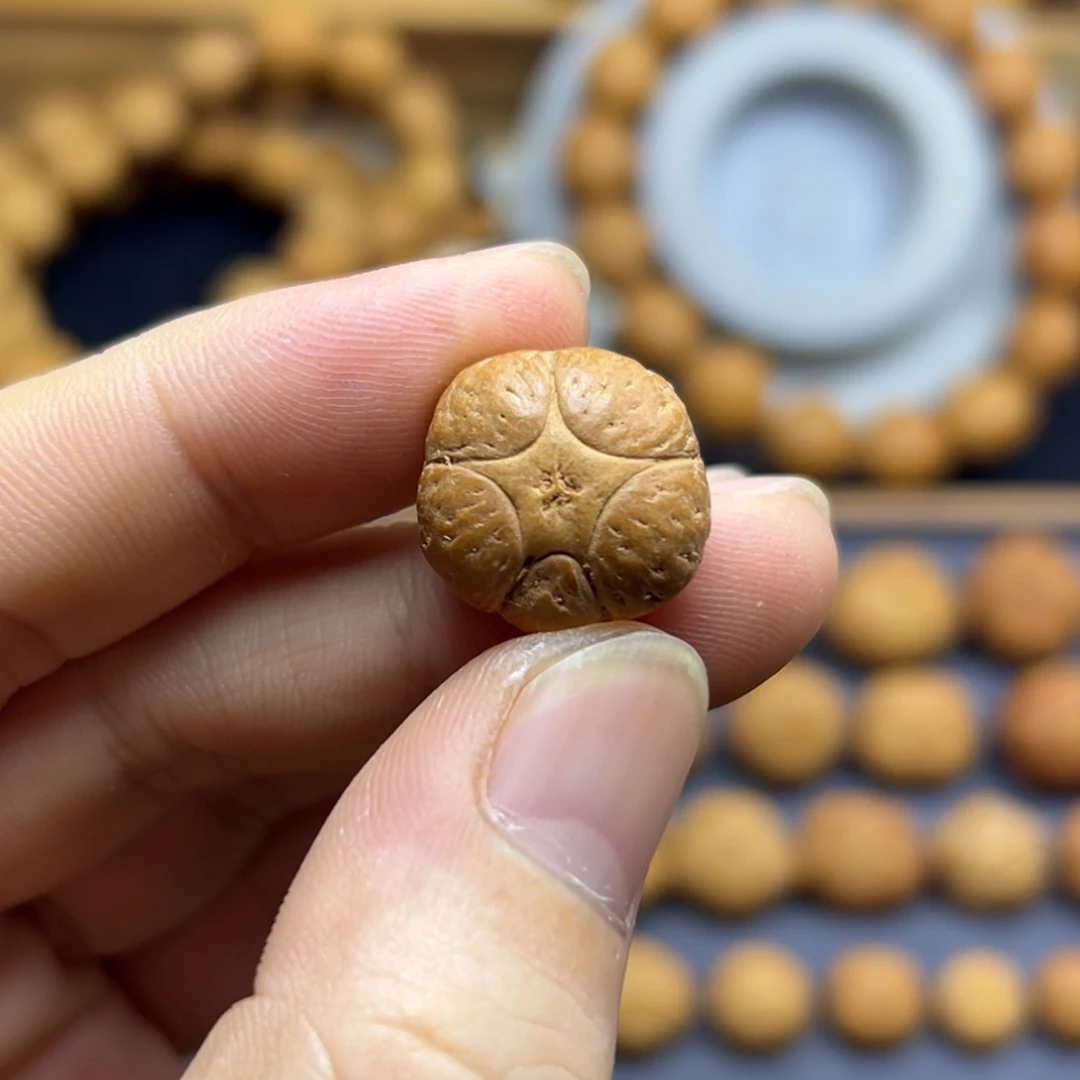 手串凤眼菩提18.1五星上将