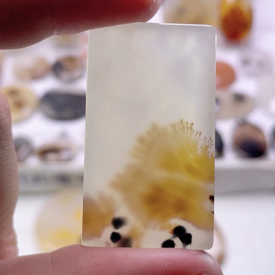 玛瑙/玉髓颈饰未镶嵌