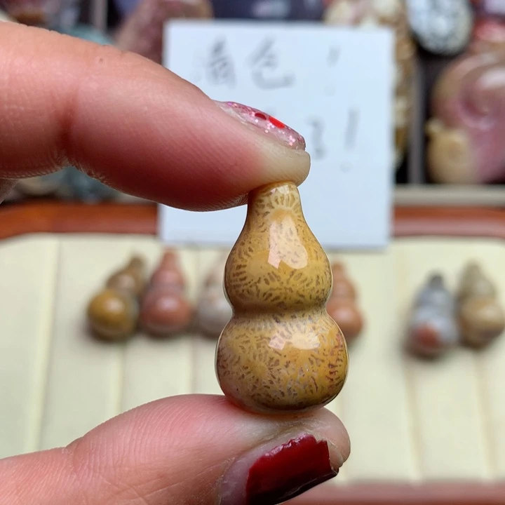 硅化珊瑚（珊瑚玉）颈饰未镶嵌