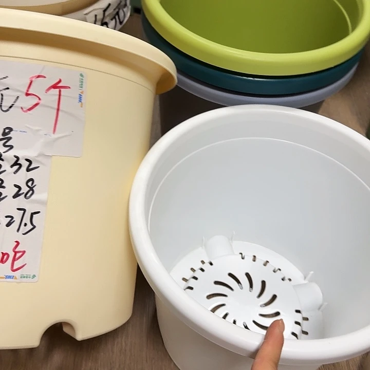 四季6号纯白无托10个特价微瑕