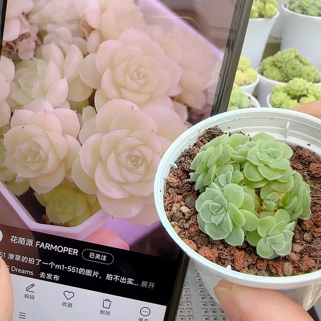 【闪购商品】0930-8（m1-551）