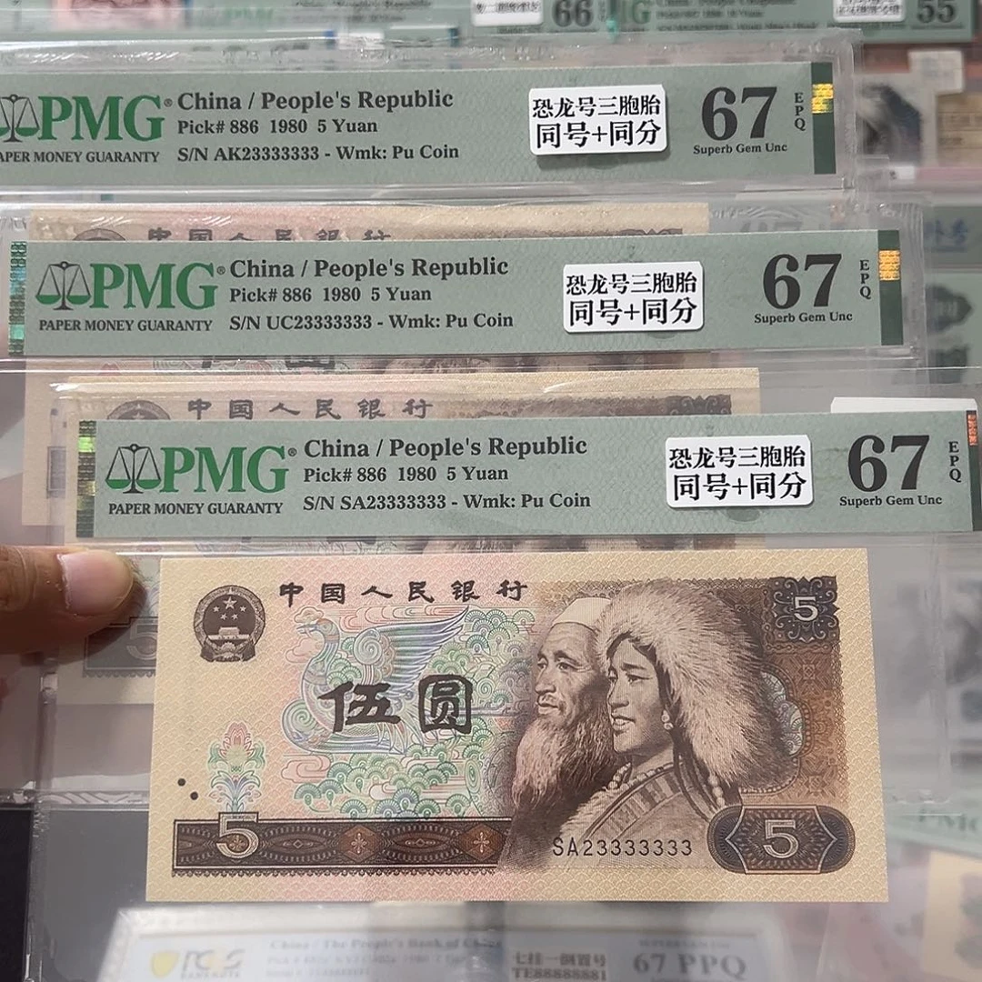 805恐龙一挂七三胞胎23333333