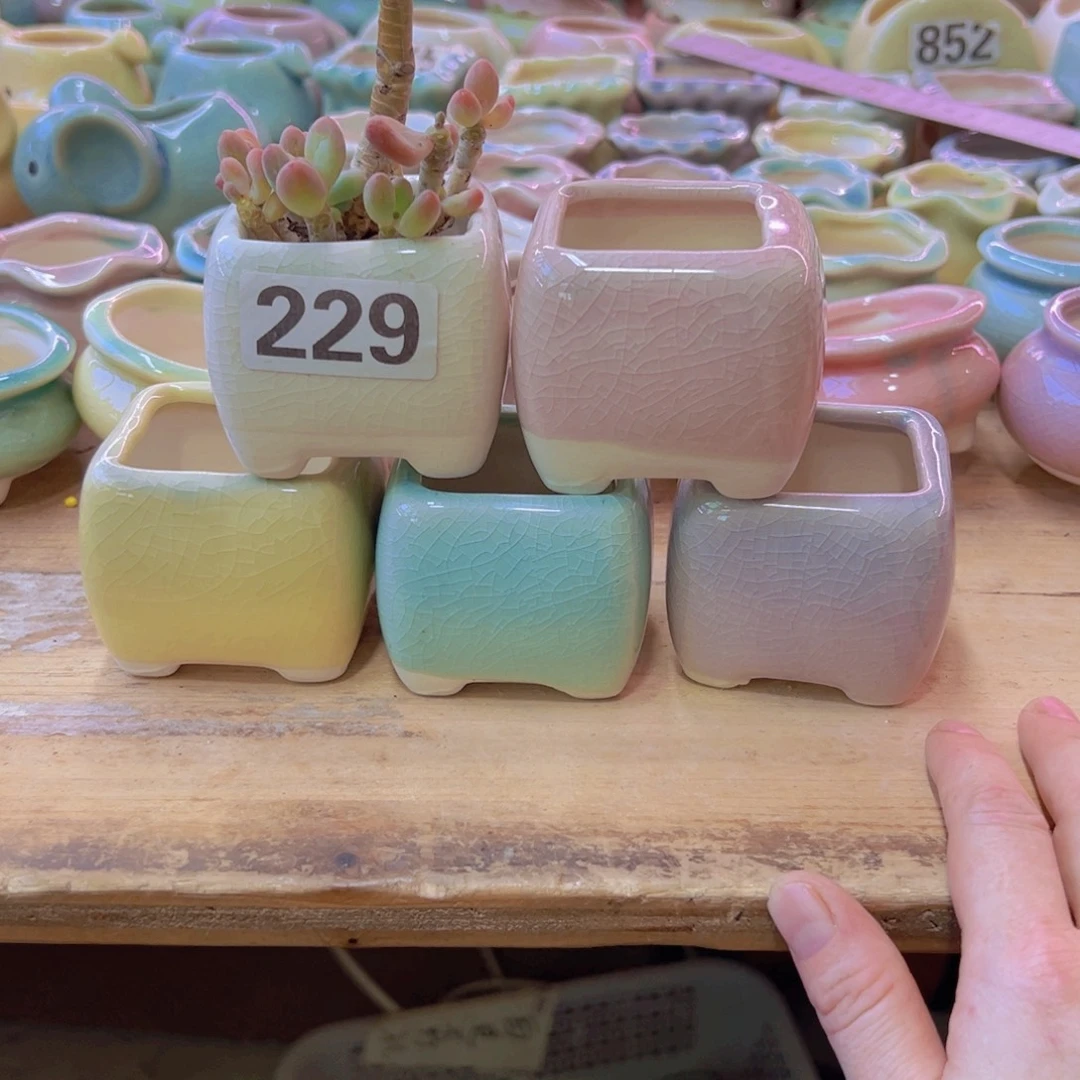 陶瓷花盆当场凑满12包邮