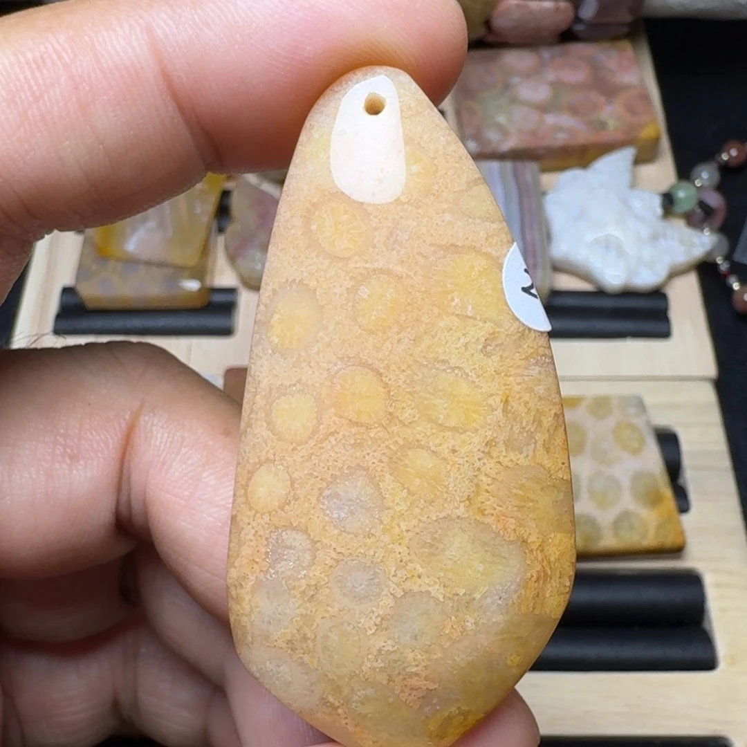 未镶嵌纯天然色有机玉石保真色硅化玉