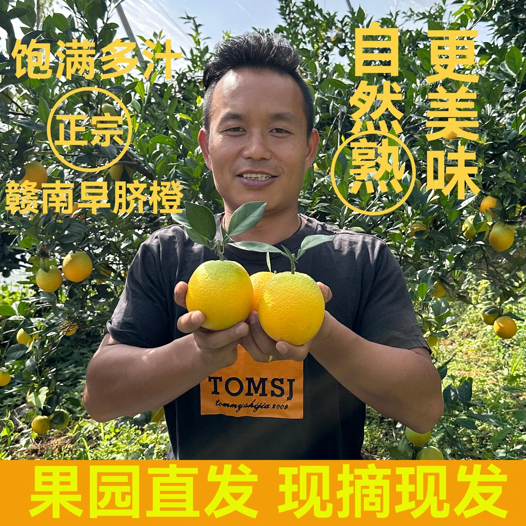 正宗赣南脐橙鲜甜爽口现摘现发果园直发