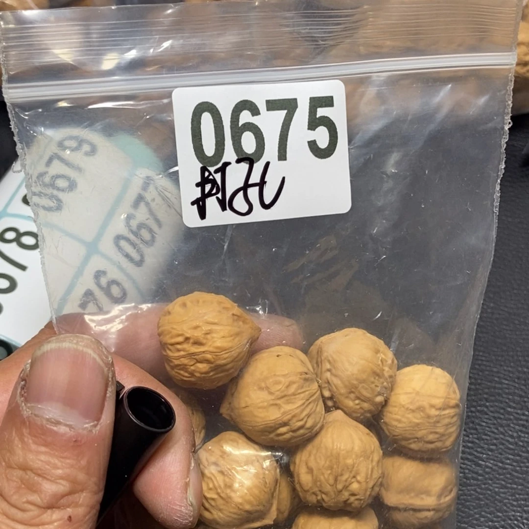 文玩核桃吊坠朋****9秋子